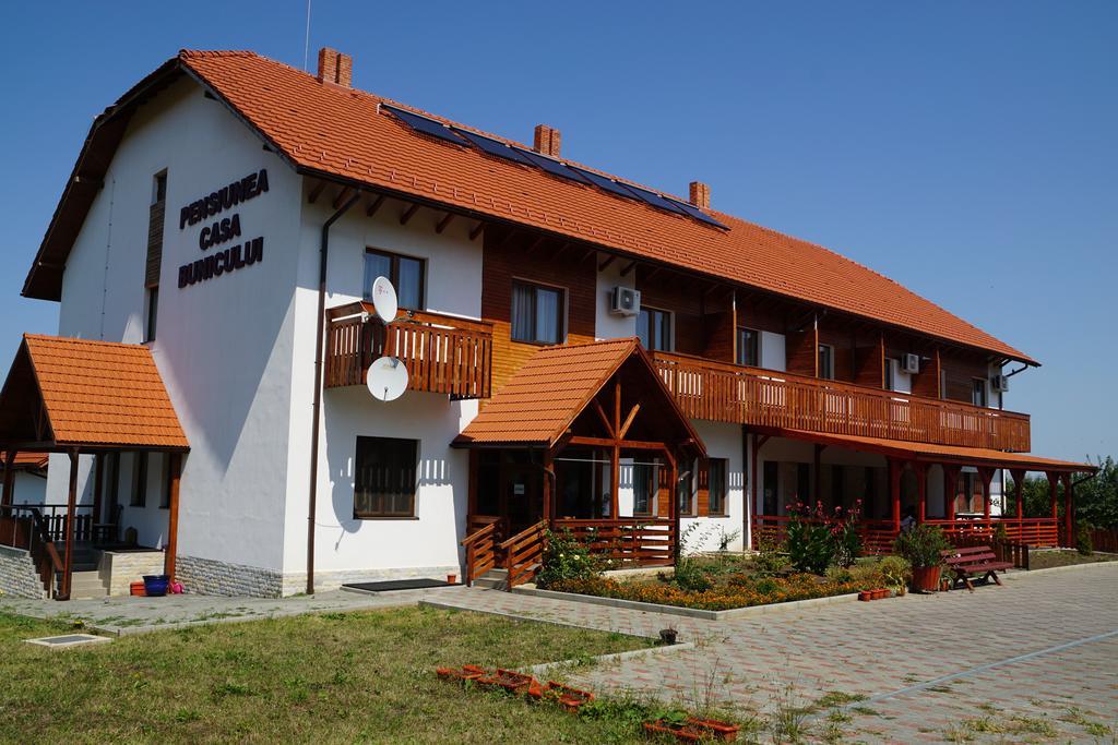 Pensiunea Casa Bunicului Mociu 外观 照片