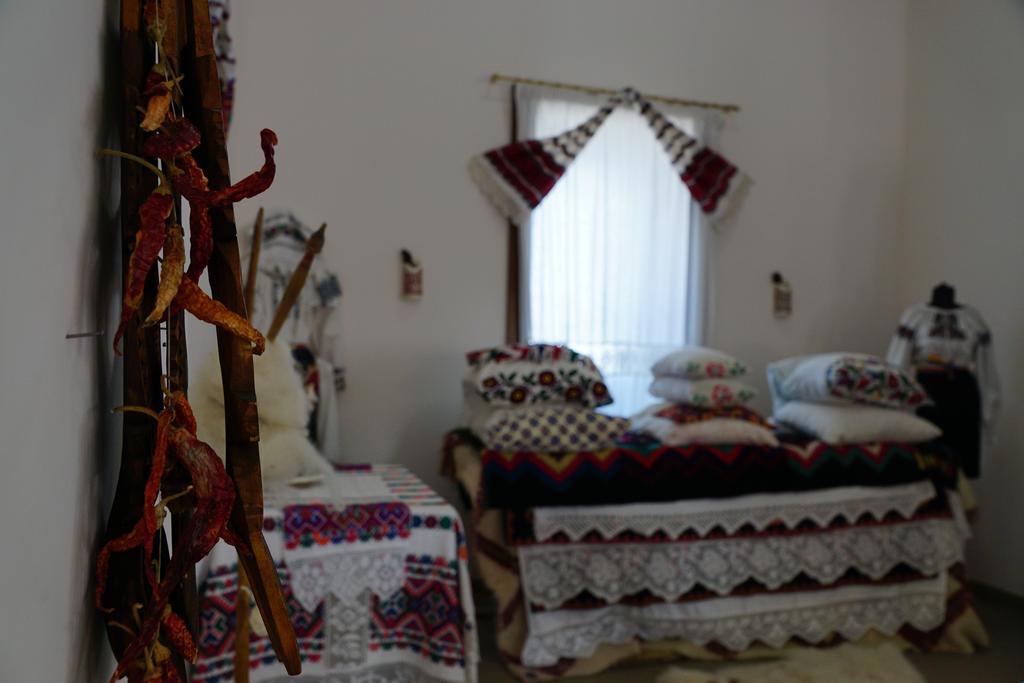 Pensiunea Casa Bunicului Mociu 外观 照片